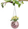 Halatua Disco Ball Planter, 6-inch Indoor Hanging Pot for Window, Wall , Decoration, Rose Gold 15cm