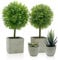 YVONNEYI 4 Pièces Plantes Artificielles Interieur, Succulentes Artificielles Petite, Fausse Plante Interieur pour Maison Salle de Bain Bureaux Table Décoration