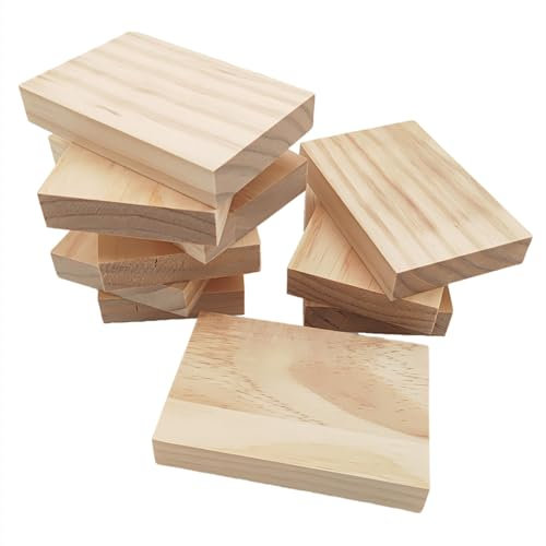 Rechteckige Holzbretter, unlackierte Holzblöcke zum Basteln, 12 x 8 x 2 cm, blanko, zum Schnitzen, Malen und Brennen, 10 Stück