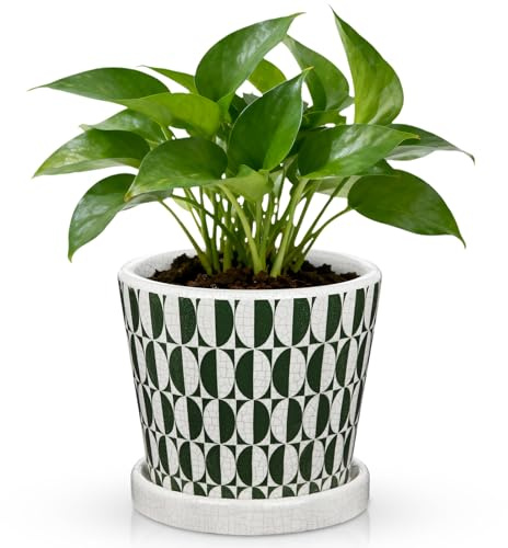 Oairse 14 cm grüner und weißer Keramik-Blumentopf mit Ablaufloch & Untersetzer, Crackle Glaze Blumentopf für Zimmerpflanzen, dekorativer Übertopf für Zuhause, Büro, Fensterbank, Outdoor