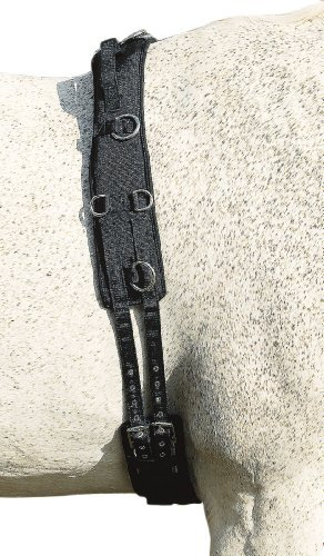 Longiergurt Neopren m. Handschlaufen