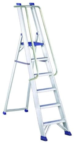 Svelt Scala 6 gradini in Alluminio, Professionale, Ultra Resistente con Corrimano e Guardacorpo, Regina Special