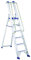 Svelt Scala 6 gradini in Alluminio, Professionale, Ultra Resistente con Corrimano e Guardacorpo, Regina Special