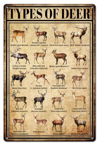 GLOBLELAND Metallblechschild Arten von Hirschen Tiere Hirsch Illustration Vintage Malerei Blechschilder 12x8 Zoll Retro Wandkunst Plakette Poster Für Zuhause Bauernhof Restaurant Zoo Club Dekoration