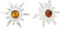InCollections Damen-Ohrstecker Sonne 925 Sterling Silber 2 Bernsteine gelb 13 mm
