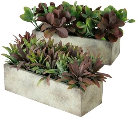 mucplants Künstliche Sukkulenten in Betonschalen 2er-Set 24 cm Länge Grün-Braun Dekorative Kunstpflanzen