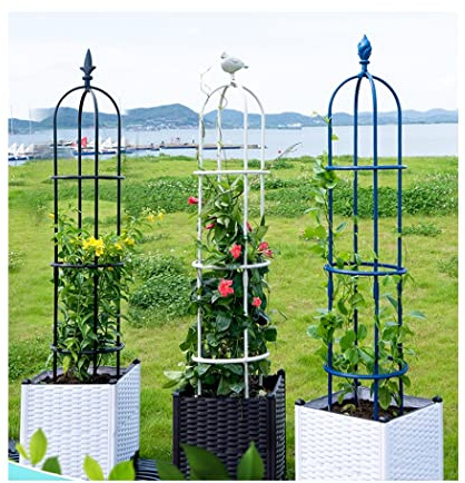 Gartenspalier, Gartenspalier, Gartenobelisk-Spalier, Gartenspalier, verstärktes Pflanzenstützspalier für Topfpflanzen, Kletterpflanzen, Rosen, Clematis, für drinnen und draußen, 1 Stück, str