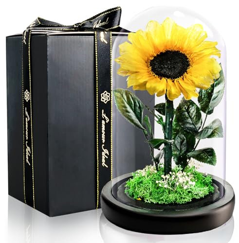 Girasole Stabilizzata Vera Eterna Fiori Regalo di Festa della Mamma per Donna, Idee Regalo Donna Compleanno Anniversario per Lei, Regali Mamma Fidanzata Nonna I Festa della Mamma Idee Regalo