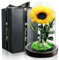 Girasole Stabilizzata Vera Eterna Fiori Regalo di Festa della Mamma per Donna, Idee Regalo Donna Compleanno Anniversario per Lei, Regali Mamma Fidanzata Nonna I Festa della Mamma Idee Regalo​