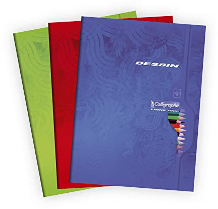 Calligraphe 7555C Un Cahier de Dessin (une Marque de Clairefontaine) - 24x32 cm - 96 Pages Unies Blanches - Papier Dessin 120 g - Couverture Carte Recyclée Vernie - Couleur Aléatoire