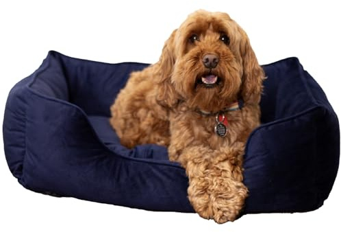 Rosewood Samt Hundebett 46 x 36 x 15 cm Dunkelblaues Hundekörbchen für Kleine Hunde mit Weicher Füllung Hohen Rändern und Tiefem Einstieg