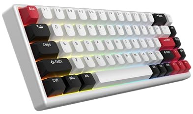 ARBITER Polar 65 - Teclado magnético CNC para juegos con disparador rápido, interruptores de efecto Hall, marco de aluminio CNC, disparador rápido, 65% compacto, RGB brillante, teclas PBT de doble