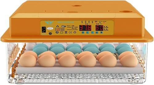 Incubatrice digitale per pollame con rotazione automatica delle uova, controllo di temperatura e umidità, schermo LED, incubatrice universale per uova di galline, anatre e uccelli (16 pezzi, fornitur