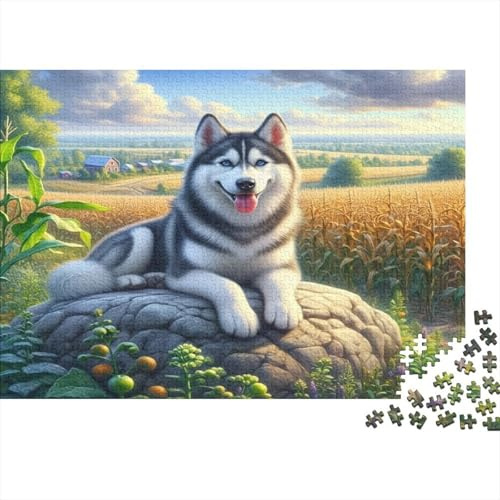 1000-Teil Sibirischer Husky Hund Puzzle für Erwachsene, Premium Pappe, Gehirntraining, Problemlösung, Alleinspiel, ökologisch, Geburtstagsgeschenk, 52x38cm