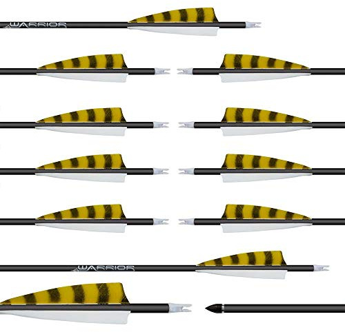 Franks-Castle 12 Stück Gold Tip Warrior Carbonpfeile Spine 500 mit 4 Naturfedern