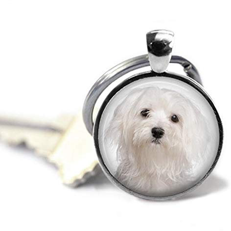 Bloody devil Art Picture Key Link,Your Malteser Dog'S Photo On A Keychain, farblos, 25mm