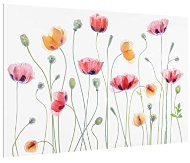 Bilderwelten Spritzschutz Küche Glas - Klatschmohn Party - Querformat 2:3, 59cm x 90cm
