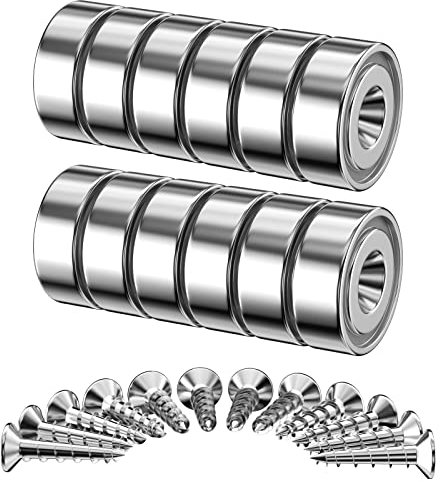 Avesteir 12 Pezzi Magneti Neodimio Potentissimi 7 KG Forza 16 X 5 mm, Multiuso Calamite Neodimio con Foro, 16 Viti, Magnete Super Potente per Frigo, Lavagne, Decorazioni, Mappe, Cucina, Ufficio, Bagno