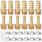 12 Set Brass Hose Barb Fittings Josaton 1/4 BSP Male x 10mm Barb Hose Connector 1/4 BSP Male x 6mm Hose Barb Pipe Fitting with Hose Clamp for Air Water Fuel