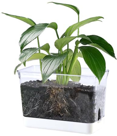 JIUJITSAW Semenzaio Autoirrigante Trasparente Professionale, Vassoi per Semi con Ventilazione Regolabile - Sistema Idrico Automatico per Piante, Mini Serra Interno (1)