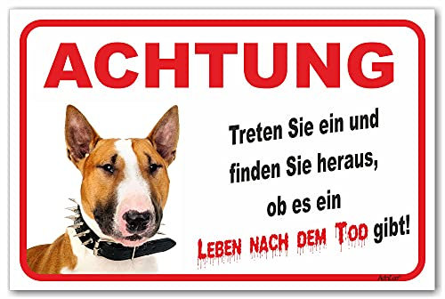 AdriLeo Schild - Vorsicht Bullterrier - Leben nach dem Tod - (20x30cm) / Hellbraun/weiß - Achtung Hund Wachhund robust langlebig UV-beständig wetterfestes Warnschild