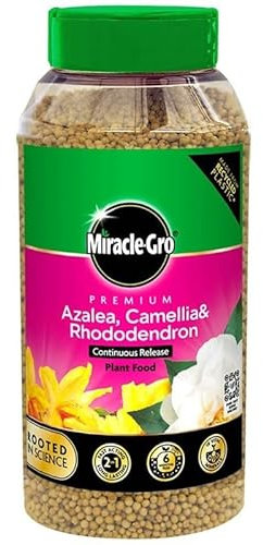 Miracle-Gro Premium Azalea, Camellia & Rhododendron Continuous Release Plant Feed – NPK 20-7-16 – For Acid-Loving Plants in Pots, Baskets & Borders – 900g (Covers 30m²/Up to 60 Plants)