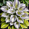 Garten-Funkie – MittelgroßE Hosta-Zwiebeln, Perfekt FüR SchattengäRten, Atemberaubend Und Sehr Dekorativ-6 Zwiebeln-A