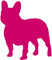 Samunshi® Französische Bulldogge Hunde Aufkleber Autoaufkleber Sticker in 6 Größen und 25 Farben (8,5x10cm pink)