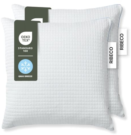 RIBECO GERMANY kühlender Kissenbezug ELSA im 2er Set, kühlender Kopfkissenbezug 80x80 cm, 2 in1: QMAX-Breeze Technologie & kuschelige Baumwollseite, ideale Ergänzung für das Kopfkissen