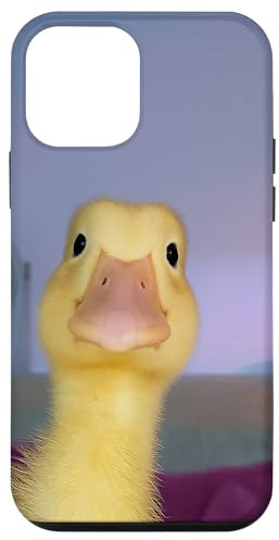 Funny Duck Selfie Meme Aesthetic Cute Yellow Duckling Silly Case for iPhone 12 mini
