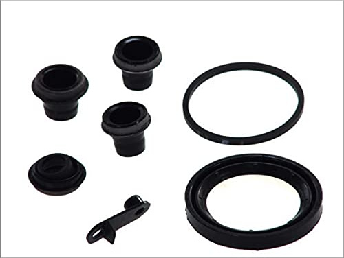 AUTOFREN SEINSA D4385 Bremssattel-Reparatursatz Vorne Kompatibel mit RENAULT 5 122, PEUGEOT 605 6B