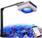 PopBloom RL90 WiFi Led Aquarium Beleuchtung 100W, Smart-APP Control Meerwasser Aquarium led volles Spectrum Lampe mit Timer für Reef Coral SPS/LPS Fischaquarium (1 Lampe mit Montagearm-Kit)