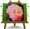 EURO PLANTS VIVAI Nostalgische Rosen Augusta Luise Blume 10-12 cm - Vase 19 x 19 cm 6 Liter - Alter 3 Jahre