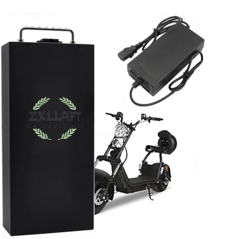 ZXLLAFT 60 Volt Lithium-Ionen-Akku 60 V 20 Ah Lithium-Batterien 60 V 10 Ah 8 Ah 25 Ah 15 Ah Ersatzakku mit Ladegerät und Griff für 400 W – 1500 W Motoren,60v,20Ah