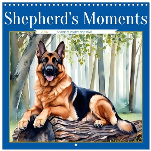 Shepherd's Moments (Wall Calendar 2026 12 x 24 / 30 x 60 cm (open)) CALVENDO 12 Month Wall Calendar