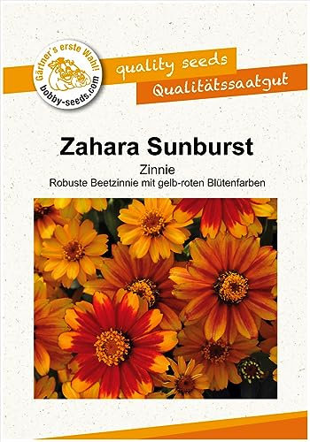 Blumensamen Zahara Sunburst Zinnie Portion