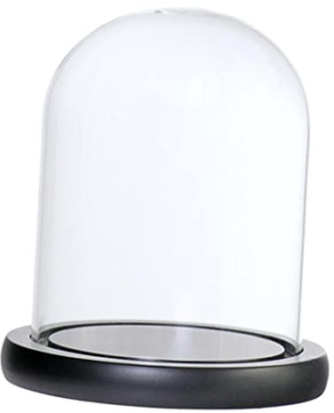 Fenteer Glashaube Glasglocke Glassturz mit Holzboden DIY Landschaften Fairy Garten Terrarium, Schwarz C