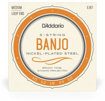 D'Addario Banjo Saiten EJ61 10-23 5-String Nickel Loop End - Saiten