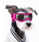NAMSAN Hundebrille Anti-UV Wasserdicht Winddicht Einstellbar Hunde Sonnenbrille Mode Hunde Schutzbrille Geeignet für Kleine und Mittlere Hunde（Rosa）