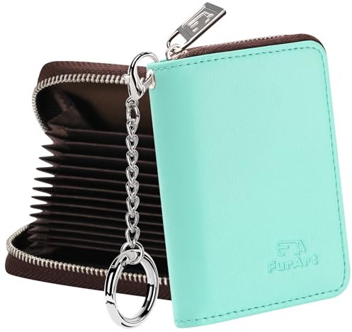 FurArt Portefeuille à fermeture éclair pour femme, portefeuille pour cartes de crédit, porte-cartes de visite, porte-clé de taille compacte, bleu lac, Classique