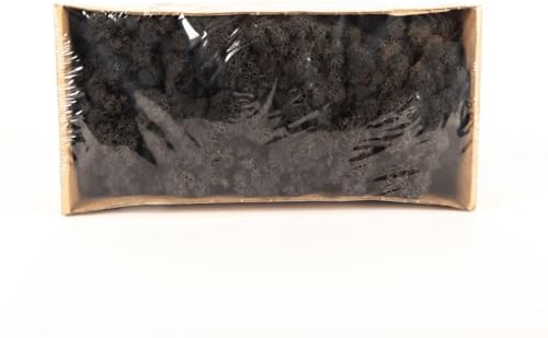 INNA-Glas Dekoratives Moos SVEINBJÖRN, schwarz, 500g | Echtes Isländisches Moos