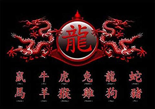 Chinese Writing – Zodiac, Dragon – poster caractère chinois – Dimensions 91.5 x 61 cm + accessoires 2 aste trasparenti