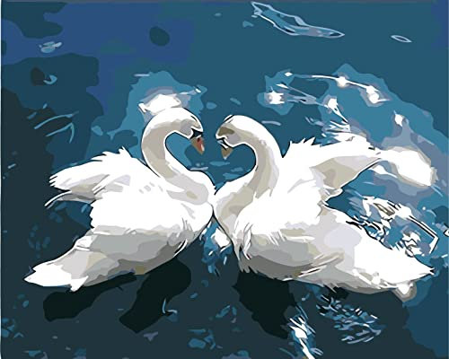SULISO Malen Nach Zahlen Kinder Erwachsene,Tiere Weißer Schwan,DIY Ölgemälde Faltenfreie Leinwand 4 Holzbürsten und Hochwertige Acrylfarbe Geschenk 40 X 50 cm