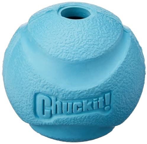 Chuckit! CH19600 Fetch Ball Large 1-er Pack
