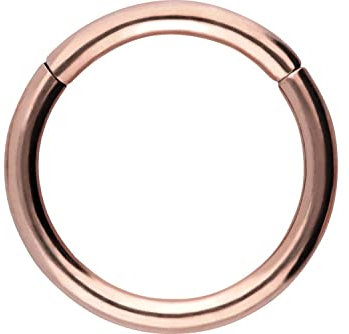 PIERCINGLINE Anneau segmenté à clicker en acier chirurgical – Anneau de piercing en or, argent, rose, noir ou bleu – pour nez, septum, oreille, hélix ou tragus, 0,8 mm Stabstärke | 9 mm