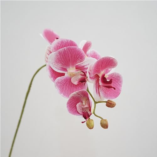 ABCWARRT 2pcs Simulation Blume Hochzeit 3D Druck Schmetterling Orchidee Zweig Wahre Berührung gefälschte Blumen Home Decor Künstliche Phalaenopsis (dunkel rosa)