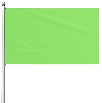 Bandiera verde chiaro in tinta unita. Bandiera da giardino per esterni, 0,9 x 1,5 m, striscione in poliestere con stampa vivida, facile da appendere per feste in patio e campeggio.