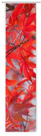 gardinen-for-life Flächenvorhang Herbsttraum, Schiebevorhang, Gr.60x245 cm