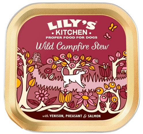 Lily's Kitchen Wild Campfire Stew, 150g