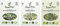 SaatPur BIO Keimsprossen Sortiment 3 BIO Sorten Sulforaphan Mix Mischung - Brokkoli Brokoletti Grünkohl